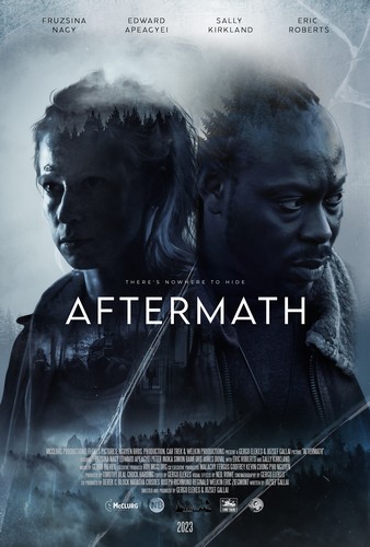 Aftermath FRENCH WEBRIP LD 1080p 2024