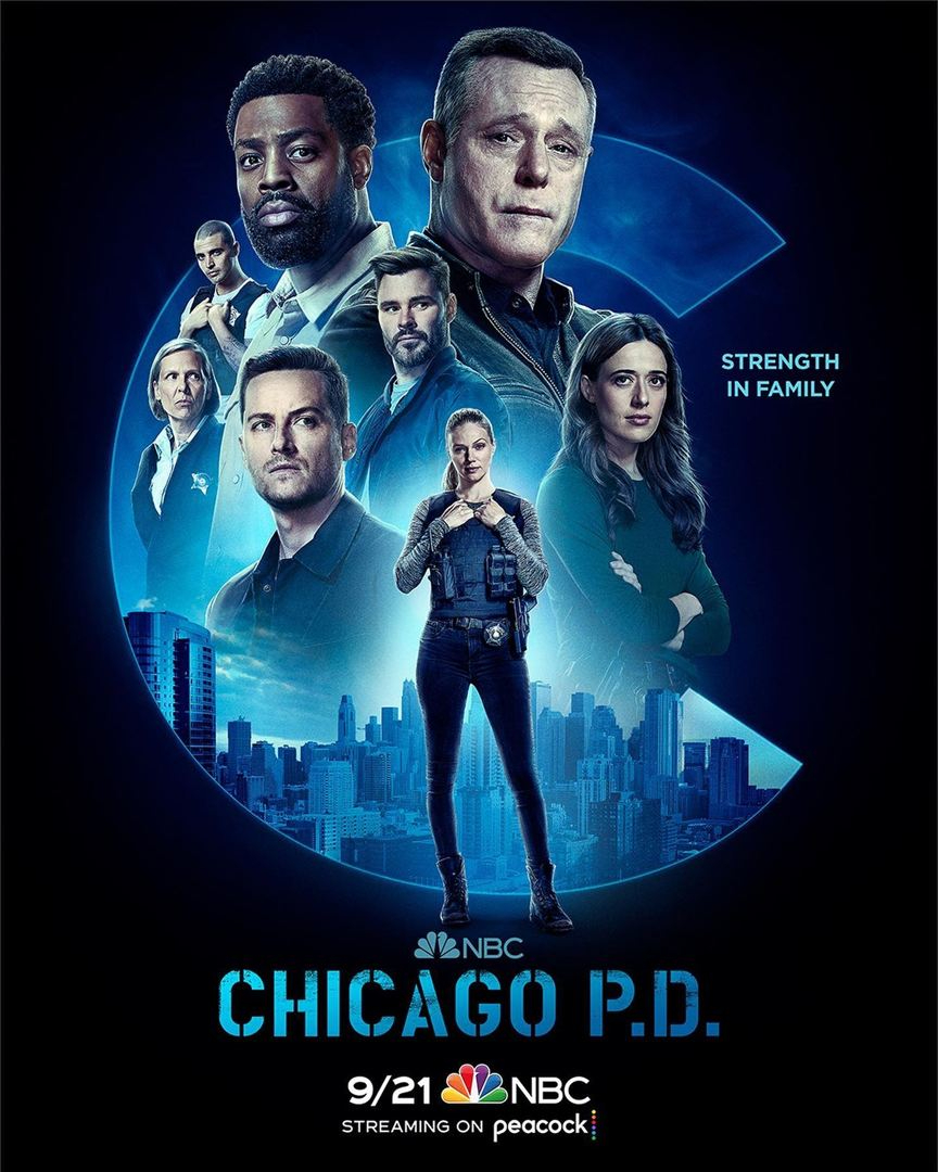 Chicago Police Department S10E05 VOSTFR HDTV
