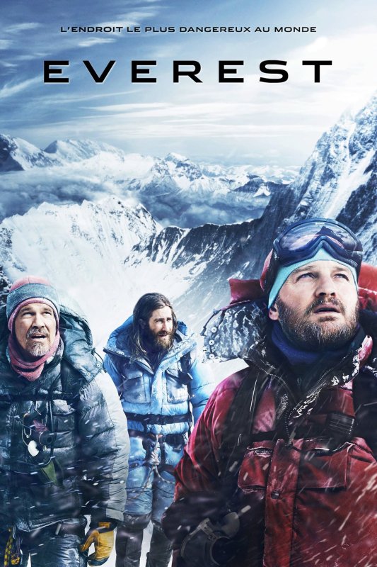 Everest TRUEFRENCH HDLight 1080p 2015