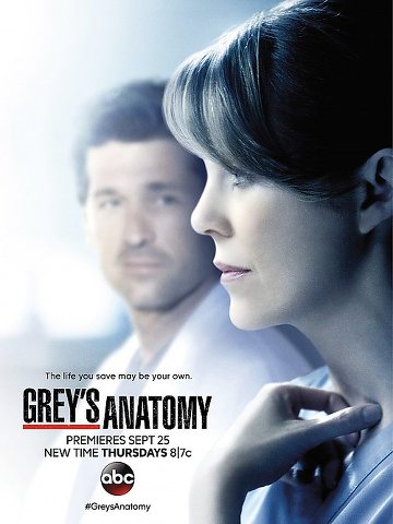 Grey's Anatomy S11E14 FRENCH HDTV