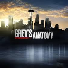 Grey's Anatomy S11E20 VOSTFR HDTV