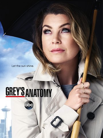 Grey's Anatomy S12E05 FRENCH HDTV