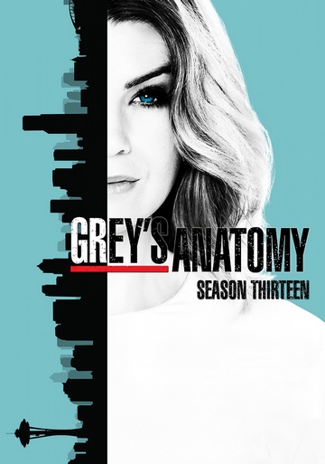 Grey's Anatomy S13E03 FRENCH HDTV