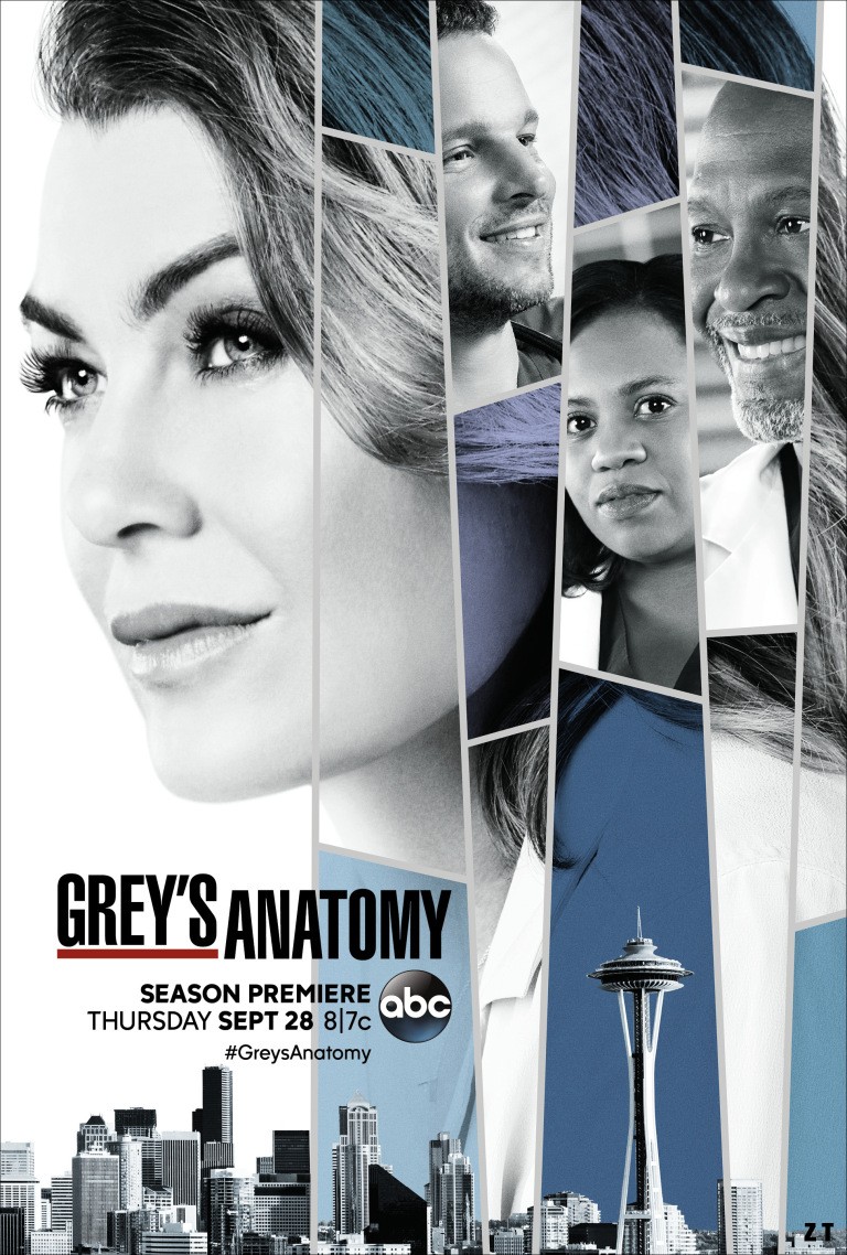 Grey's Anatomy S14E09 FRENCH HDTV