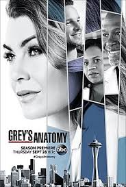 Grey's Anatomy S14E18 VOSTFR HDTV