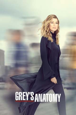 Grey's Anatomy S16E09 FRENCH HDTV