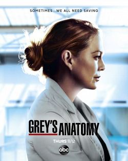 Grey's Anatomy S17E16 VOSTFR HDTV