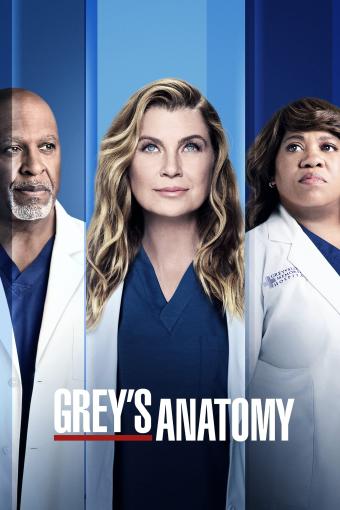 Grey's Anatomy S18E08 FRENCH HDTV