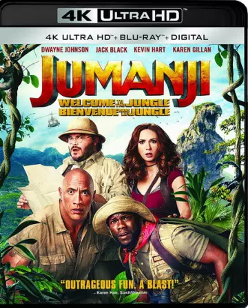 Jumanji : Bienvenue dans la jungle MULTi BluRay REMUX 4K ULTRA HD x265 2018