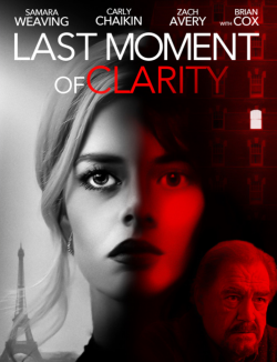 Last Moment Of Clarity FRENCH BluRay 1080p 2020