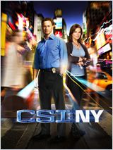 Les Experts : Manhattan S08E02 FRENCH HDTV
