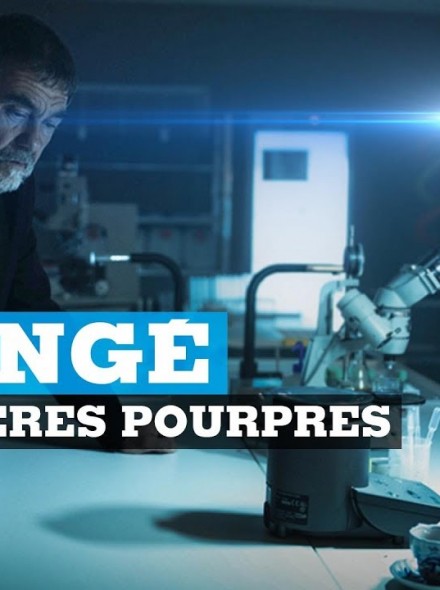 Les Rivières Pourpres S01E05 FRENCH HDTV