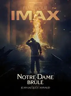 Notre-Dame brûle FRENCH DVDRIP x264 2022