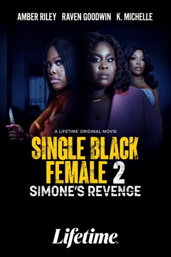 Single Black Female 2: Simone's Revenge FRENCH WEBRIP LD 2024
