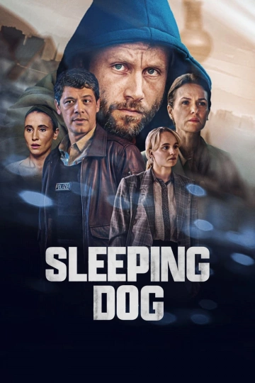 Sleeping Dogs Saison 1 FRENCH HDTV