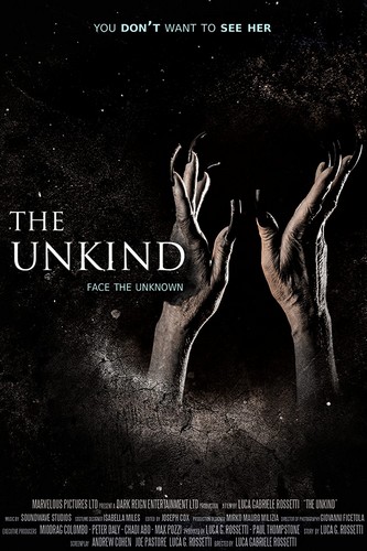 The Unkind FRENCH WEBRIP LD 2022
